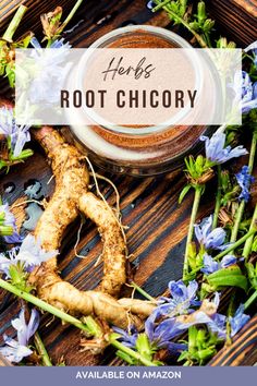 herbs and root in a bowl with text overlay that reads herbs root chicory available on amazon