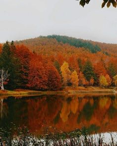 a lake surrounded by lots of trees with orange and yellow leaves on the water's edge