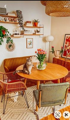 a cat sitting on top of a wooden table in a living room next to two chairs