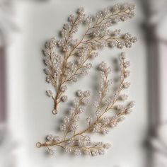 a close up of a white flower on a white surface with an ornate frame in the background