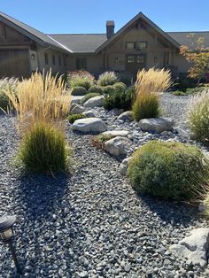 a house with rocks and plants in front of it