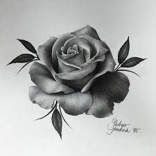 a black and white drawing of a rose