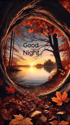 an autumn scene with leaves and the words good night