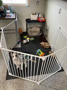 a dog is sitting in its kennel with toys and other items on the floor