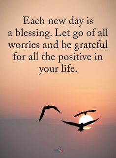 two birds flying in the air at sunset with a quote about each new day is a blessing let go of all wories and be grateful for all the positive in your life