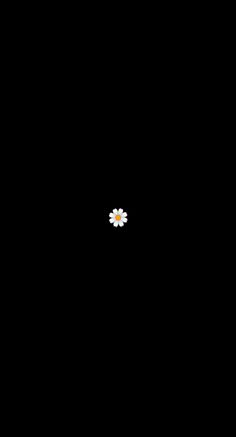 two small white flowers floating in the air on a black background with space for text