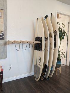 four surfboards are lined up against the wall next to a potted plant in a living room