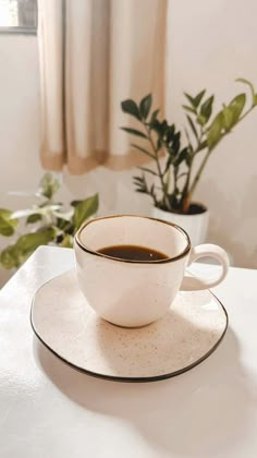 a cup of coffee sitting on top of a saucer next to a potted plant