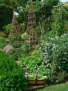 a garden filled with lots of different types of plants and vegetables on top of each other