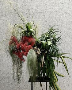 an arrangement of plants on a table against a wall