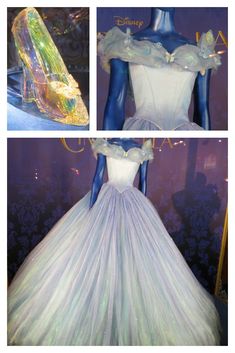 the dress and shoes are on display at disney's live - in - the - park