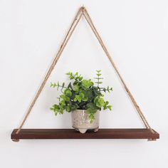 a potted plant sitting on top of a wooden shelf