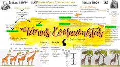 a poster with different types of giraffes on it's back side