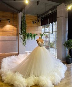 a white wedding dress on display in a room with wooden flooring and plants hanging from the ceiling