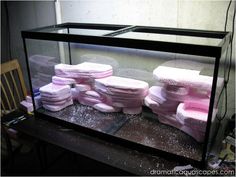 a fish tank filled with lots of pink and white towels on top of a table