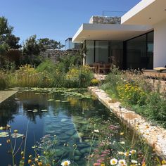 the house is surrounded by water and flowers