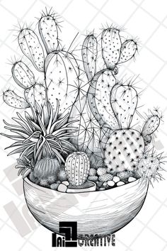 a drawing of a potted plant with cacti and succulents