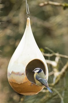 a bird that is sitting on top of a bird feeder hanging from a tree branch