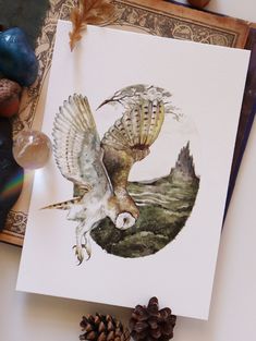 an owl is flying in the air with its wings spread