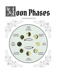 the moon phases are shown in black and white