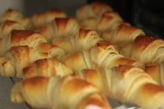 many croissants are lined up on a tray