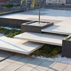 an outdoor area with concrete steps and plants