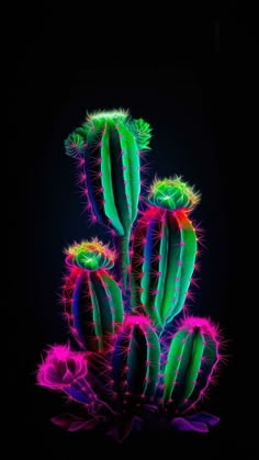 a group of neon colored cactus plants in the dark