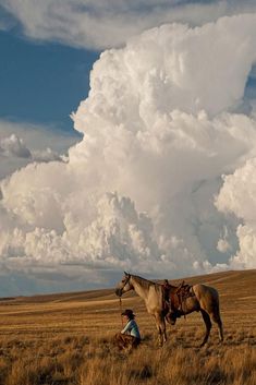 a horse standing on top of a dry grass field next to a person sitting down