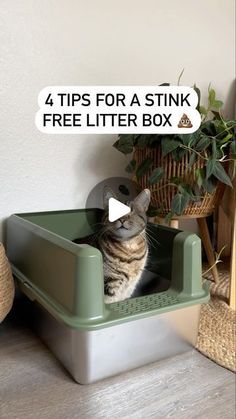 Cat litter box furniture Where To Put A Litter Box Cats, Diy Cat Litter Box Ideas Mess Free, Stainless Steel Cat Litter, Litter Box Smell Hacks, Cat Litter Set Up, Apartment Litter Box Ideas, Kitty Litter Box Ideas, Diy Litter Box Enclosure, Litter Box Hacks