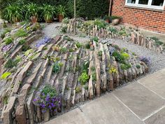 a garden with rocks and flowers growing on it