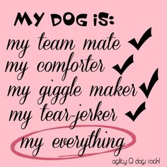 a pink background with black writing that says, my dog is my team mate my computer my giggle maker my tear - worker my everything