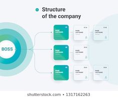 the structure of the company is depicted in this diagram