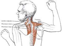 Neck Tension, Bowhunting, Neck Pain Relief