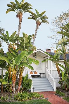 a white house with palm trees in the front yard and stairs leading up to it