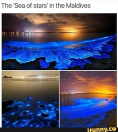 the sea of stars in the maldives is glowing blue and orange at night