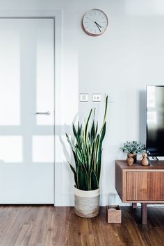 a living room with a large plant and a clock on the wall