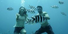 a man and woman are underwater in the ocean with many fish around them as they pose for a photo