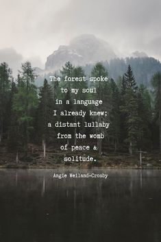 tree quotes | forest quotes | inspirational nature quotes | beauty of nature quotes | soul quotes | nature photography by Eberhard Grossgasteiger of a forest, lake, and mountains..."The forest spoke to my soul in a language I already knew; a distant lullaby from the womb of peace & solitude." Angie Weiland-Crosby  #quotes #naturequotes #treequotes #inspirational #forest #blogging #soul #naturelovers #wellbeing #angieweilandcrosby #momsoulsoothers Forest Love Quotes, Forest Quotes, Soulful Quotes, Johanna Basford Enchanted Forest, Tree Quotes, Forest Aesthetic, Beach Quotes