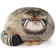 Packing:1; Cover Materials:Velvet; Shape:Irregular; Type:Pillow Cover  Insert; Style:Modern,Casual; Removable Support:Yes; Item Type:Throw Pillow,Travel Pillow; Pattern:Print,Animal; Filling Material:Microfiber; Listing Date:08/02/2023; Production mode:External procurement Pallas Cat, Cat Plush, Plush Pillow, Body Pillow, For Girls, Throw Pillow, Animals