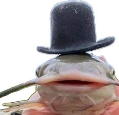 a frog with a top hat on it's head