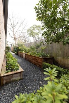 an outdoor garden with wooden planters and gravel path