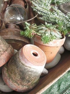 several pots with plants in them sitting on a shelf