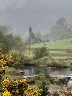 a small stream running through a lush green countryside