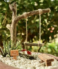 a miniature garden with rocks and plants in the center, including an old tree branch