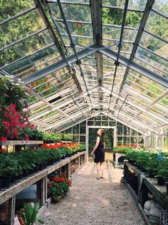 a woman standing in a greenhouse filled with lots of flowers