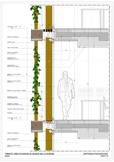 an architectural drawing of a man walking in front of a wall with plants growing on it