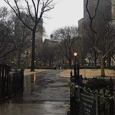 an empty street in the middle of a city with lots of trees on both sides