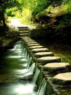 stepping stones are lined up along the water