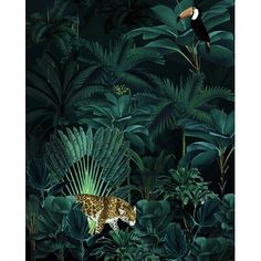 an image of a jungle scene with a leopard and toucan