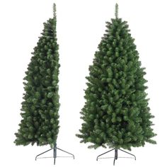 two tall trees are standing next to each other on a white background, one is green and the other is brown